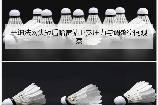 xin-na-fa-wang-shi-guan-hou-ha-lei-zhan-wei-mian-ya-li-yu-tiao-zheng-kong-jian-guan-cha-2-425.jpg