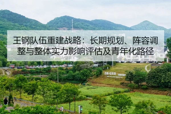 王钢队伍重建战略：长期规划、阵容调整与整体实力影响评估及青年化路径