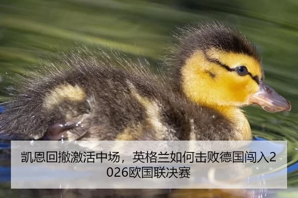 凯恩回撤激活中场，英格兰如何击败德国闯入2026欧国联决赛